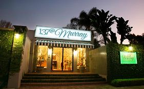 Murray Street 137 Guesthouse